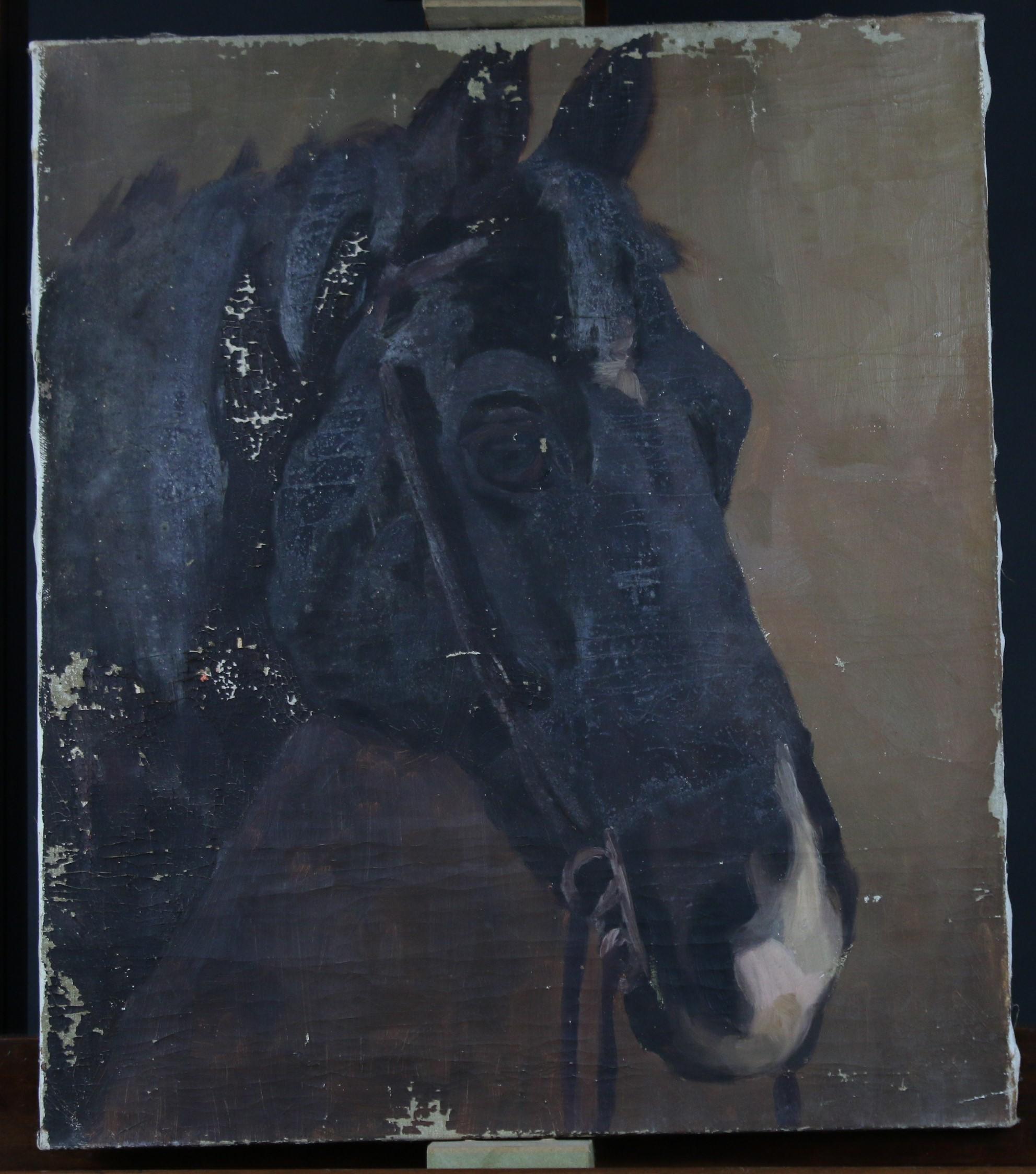 Lucy Kemp Welch 1869-1958 fue una artista y profesora inglesa especializada en la pintura de caballos.  Desde la década de 1890 hasta la de 1920 fue la pintora de caballos más famosa del Reino Unido, produciendo arte de caballos de guerra y de