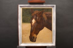 Cheval de trait