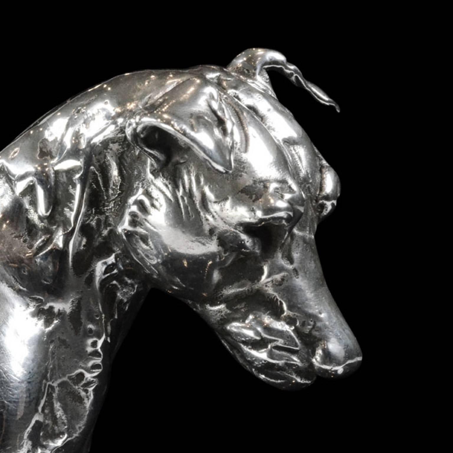 'Patterdale Terrier' in Sterling silver, Silver sculpture by Lucy Kinsella
The limited edition finely modelled terrier stands squarely with his head cocked to one side, ears pricked and short tail pointing straight upwards. He stares intently at the