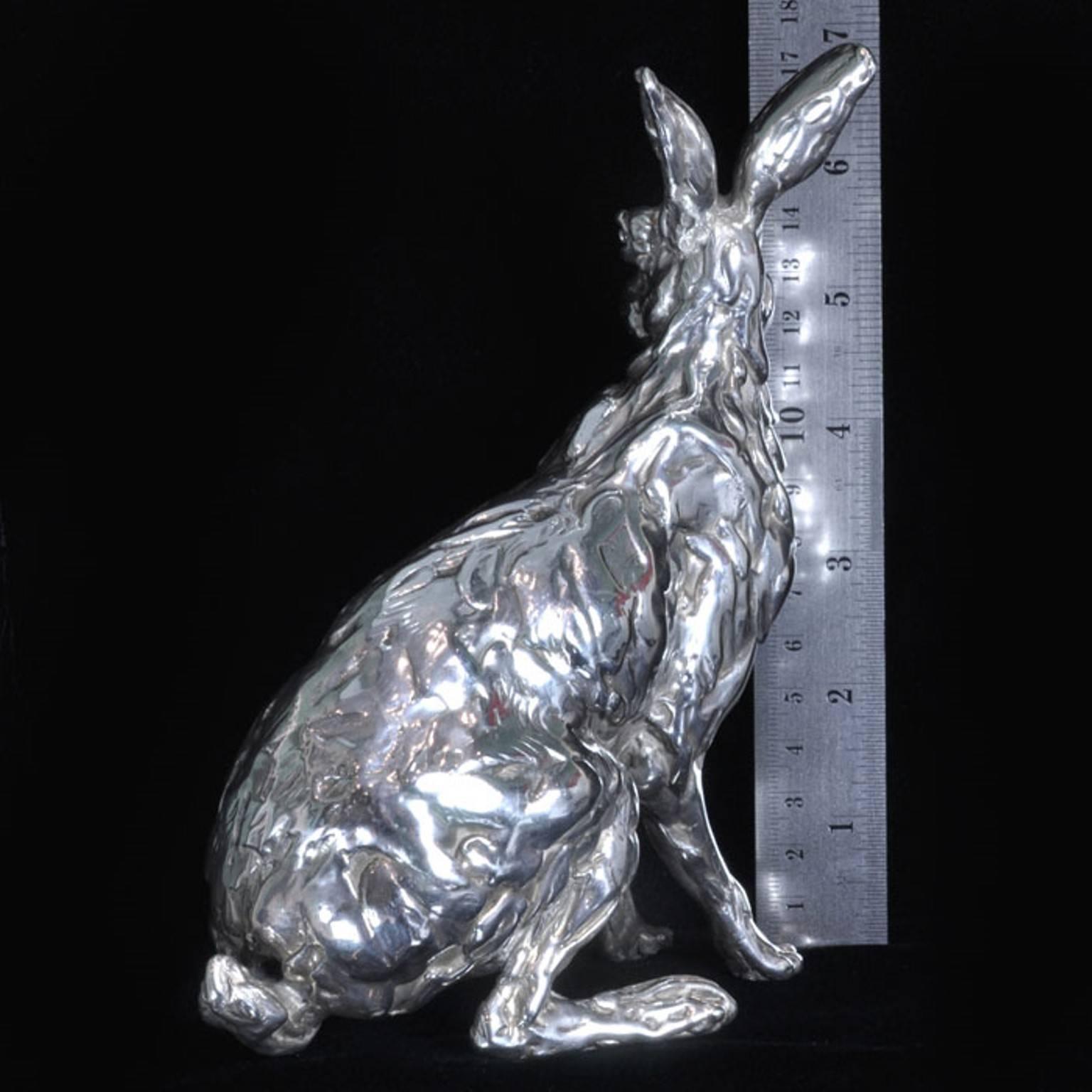 18cm high x 13cm long
1069 grams

A 'Seated Hare' sterling silver sculpture by Lucy Kinsella, the limited edition finely modelled hare sits upright and alert, his front legs straight, muscles tensed, poised to run at any moment.  His long ears are