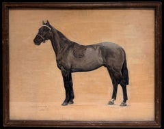 1930's Óleo Caballo de carreras pura sangre marrón oscuro de pie de perfil Pintura firmada