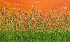 Tangerine Summer Dreaming, Painting, Acrylic on Canvas