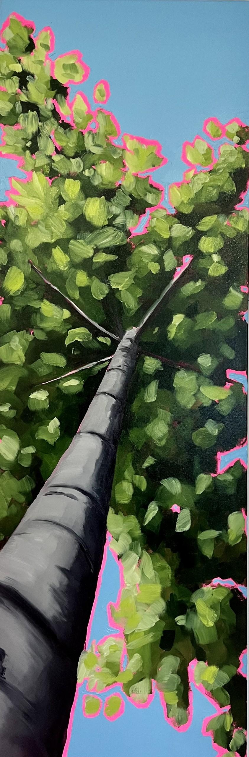 Lucy Moore Landscape Painting - Looking up through the tallest spring leaves to excitement