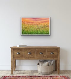 Popping Sunrise Meadows #2, Pintura Floral Abstracta, Arte Paisajístico Original