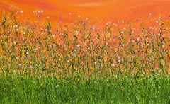 Tangerine Summer Dreaming, original painting, landscape, contemporary