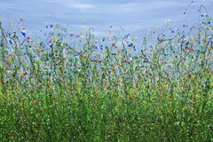 Walking Back to Happiness #3, Lucy Moore, Floral painting, Wildflowers art 