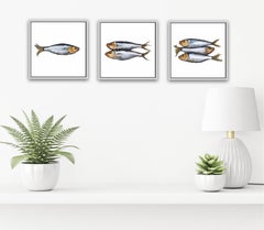 Sprat 1, Sprat 2 et Sprat 3