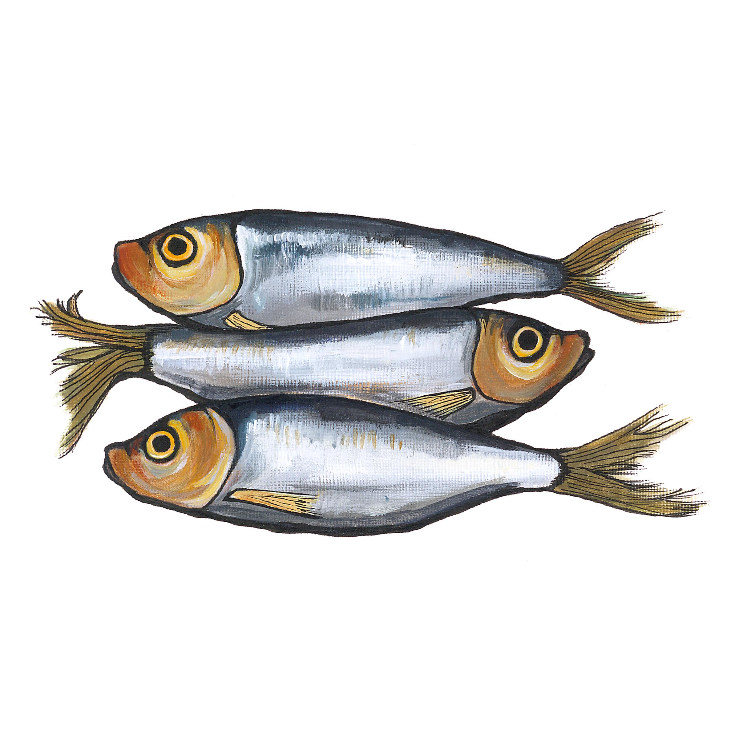 Lucy Routh – Sprats 1

Inspired by nature and the beauty found in everyday objects. I combine traditional still life subjects with a contemporary style, achieving bold, vibrant images with a sense of space and simplicity.

Limited Edition Giclee
