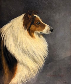 Portrait Of Champion Collie Dog Oil Painting Fine Antique English Oil Painting
