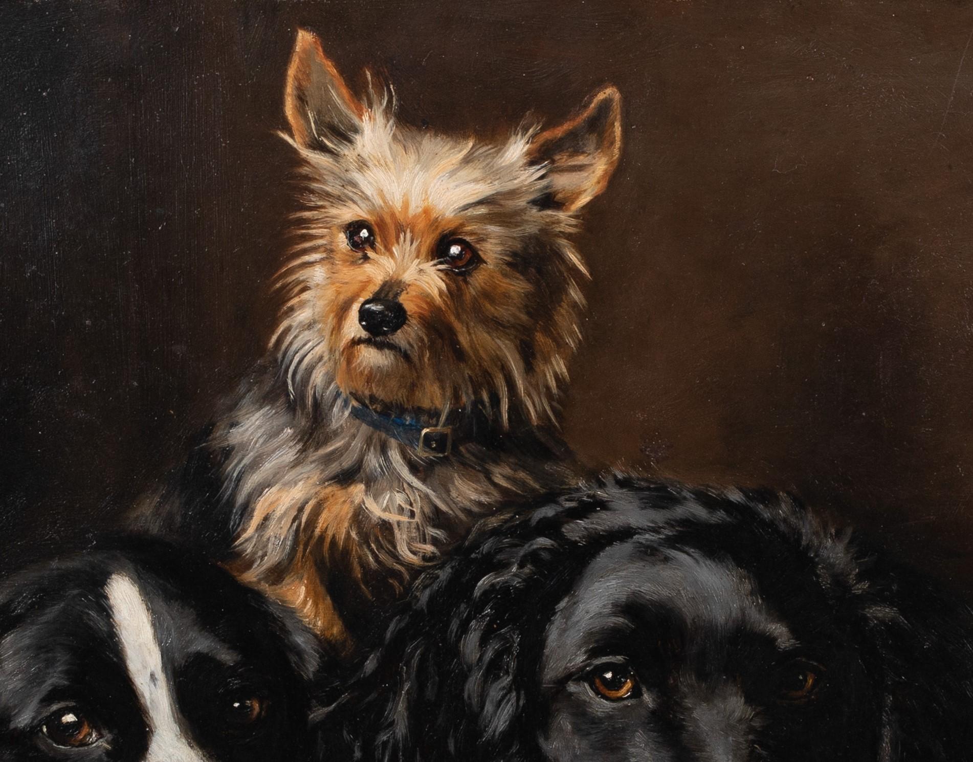 Portrait Of Two Spaniels & A Yorkshire Terrier dated 1882  