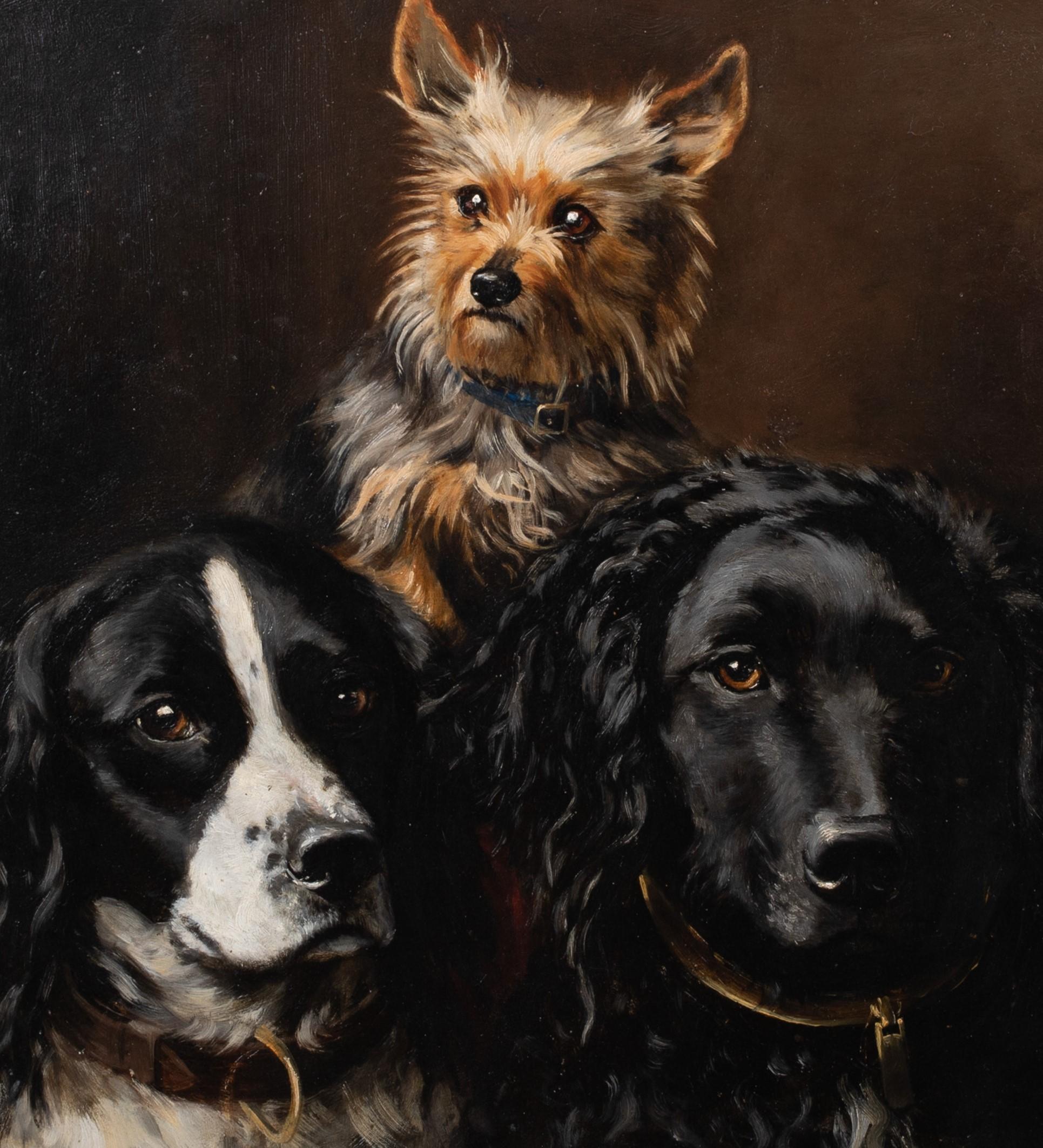 Portrait Of Two Spaniels & A Yorkshire Terrier, dated 1882

