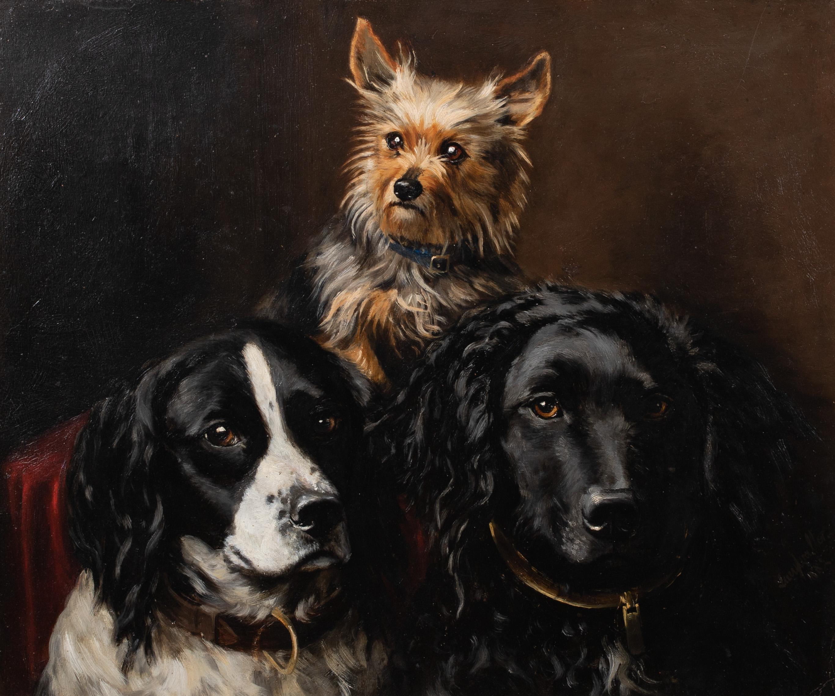 Lucy Waller Portrait Painting - Portrait Of Two Spaniels & A Yorkshire Terrier dated 1882  "Neville, Pit & Jack"