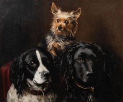 Portrait Of Two Spaniels & A Yorkshire Terrier dated 1882  "Neville, Pit & Jack"