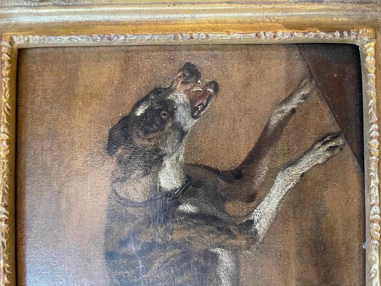 Study of a dog - Old Masters Painting by Ludolf de Jongh