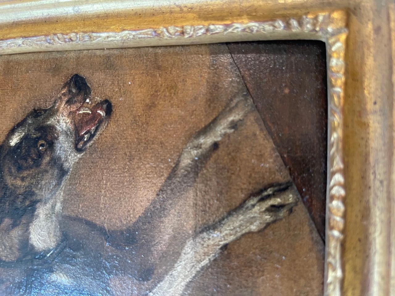 Study of a dog - Brown Animal Painting by Ludolf de Jongh
