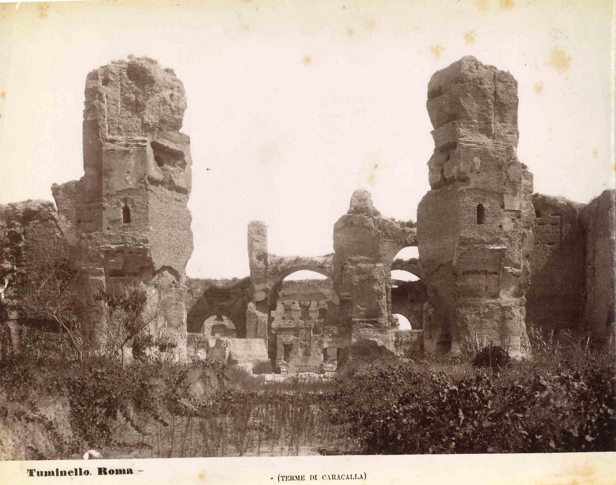 Baths of Caracalla is a vintage sepia photograph realized by Ludovico Tuminello in the early 20th Century.

Titled on the lower.

Good conditions except for some foxing.