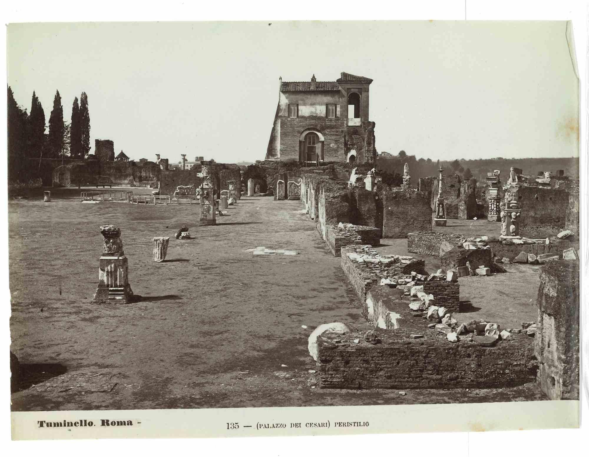 Les thermes de Caracalla est une photographie sépia vintage réalisée par Ludovico Tuminello au début du 20e siècle.

Titre sur la partie inférieure.

Bon état, sauf quelques rousseurs.