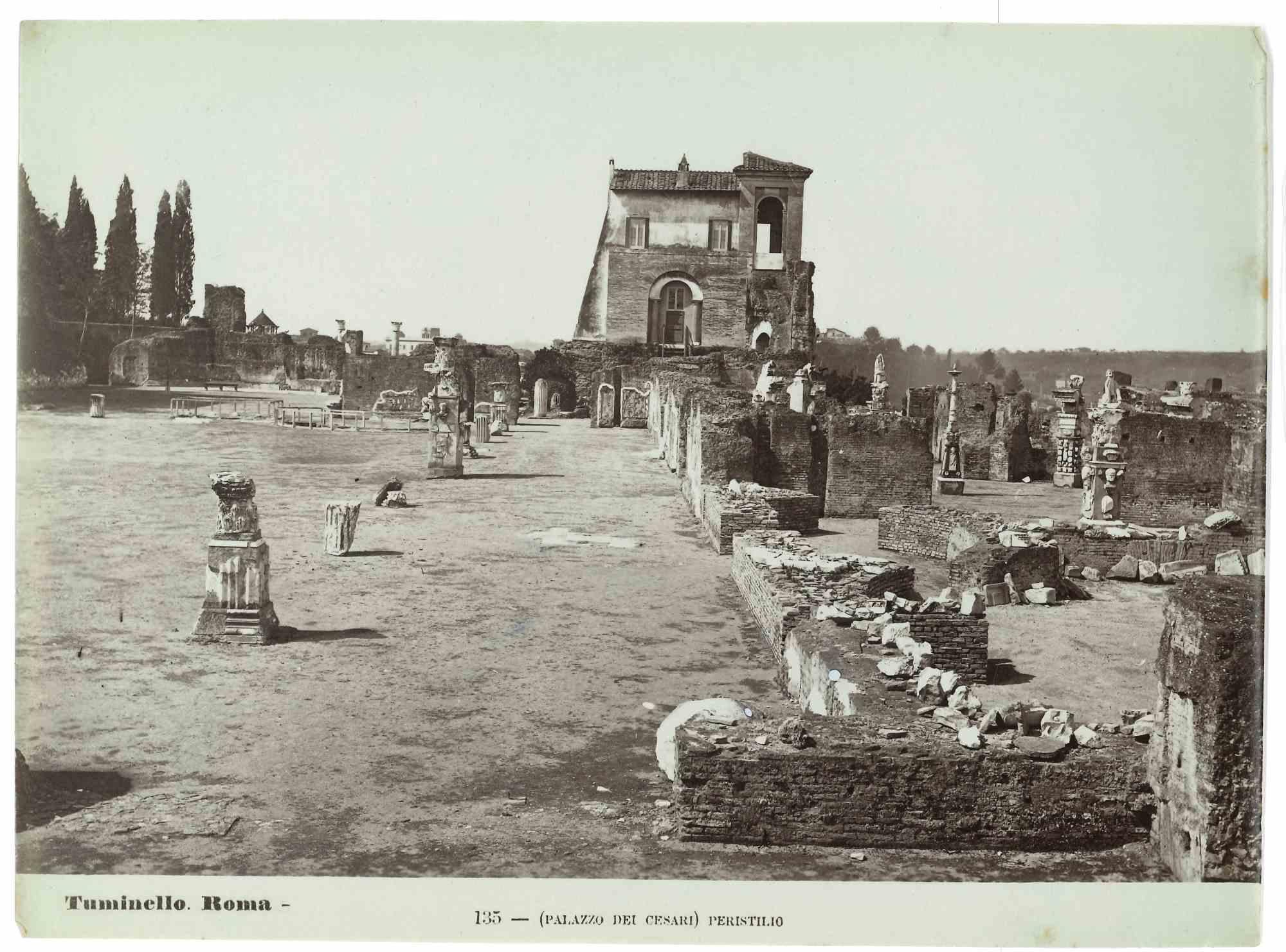 El Palacio de los Cesari es una fotografía de época realizada por Ludovico Tuminello a principios del siglo XX.

Titulado en la parte inferior.

En buen estado, excepto por algunas manchas de zorro.