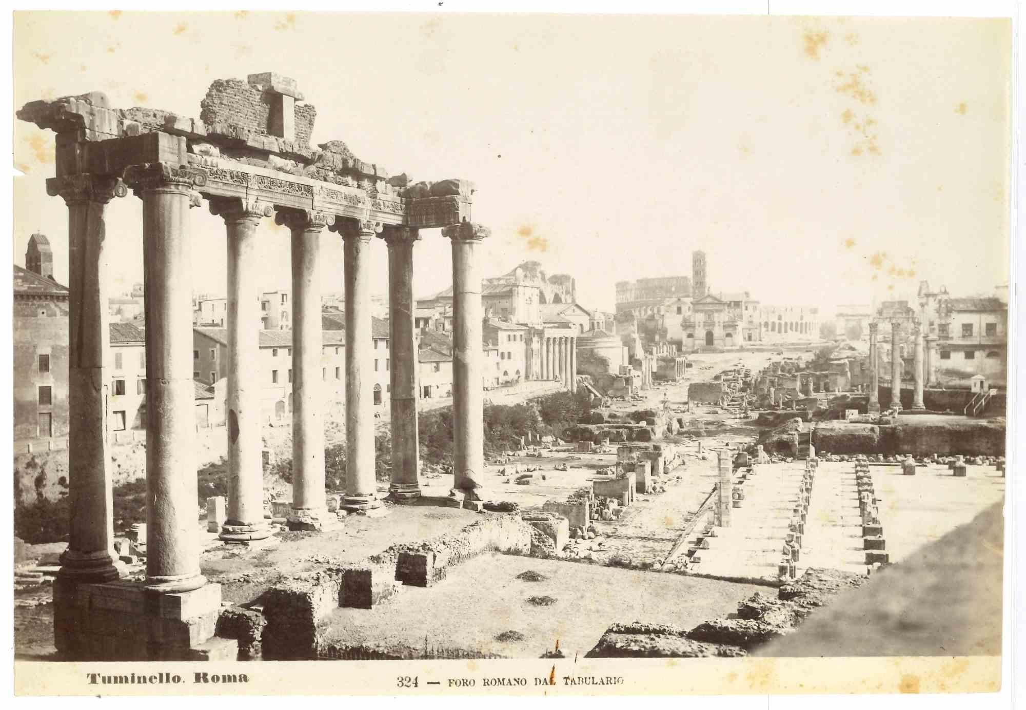 Roman Forum ist ein Vintage-Druck in Salzsilber von Ludovico Tuminello aus dem frühen 20. Jahrhundert.

Auf der unteren Seite betitelt.

Guter Zustand mit Ausnahme einiger Stockflecken.