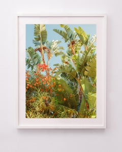 California Botanica