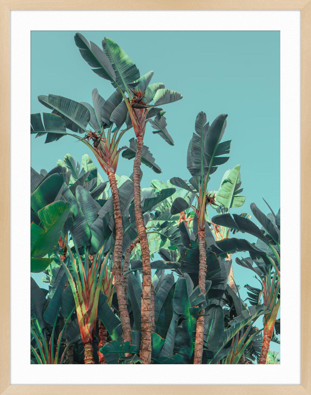 ABOUT THIS PIECE: French photographer Ludwig Favre recently road tripped to California. His pictures of California's iconic architecture and beaches carry the same romantic feel of a Parisian shooting exotic landscapes. Favre is know for his soft