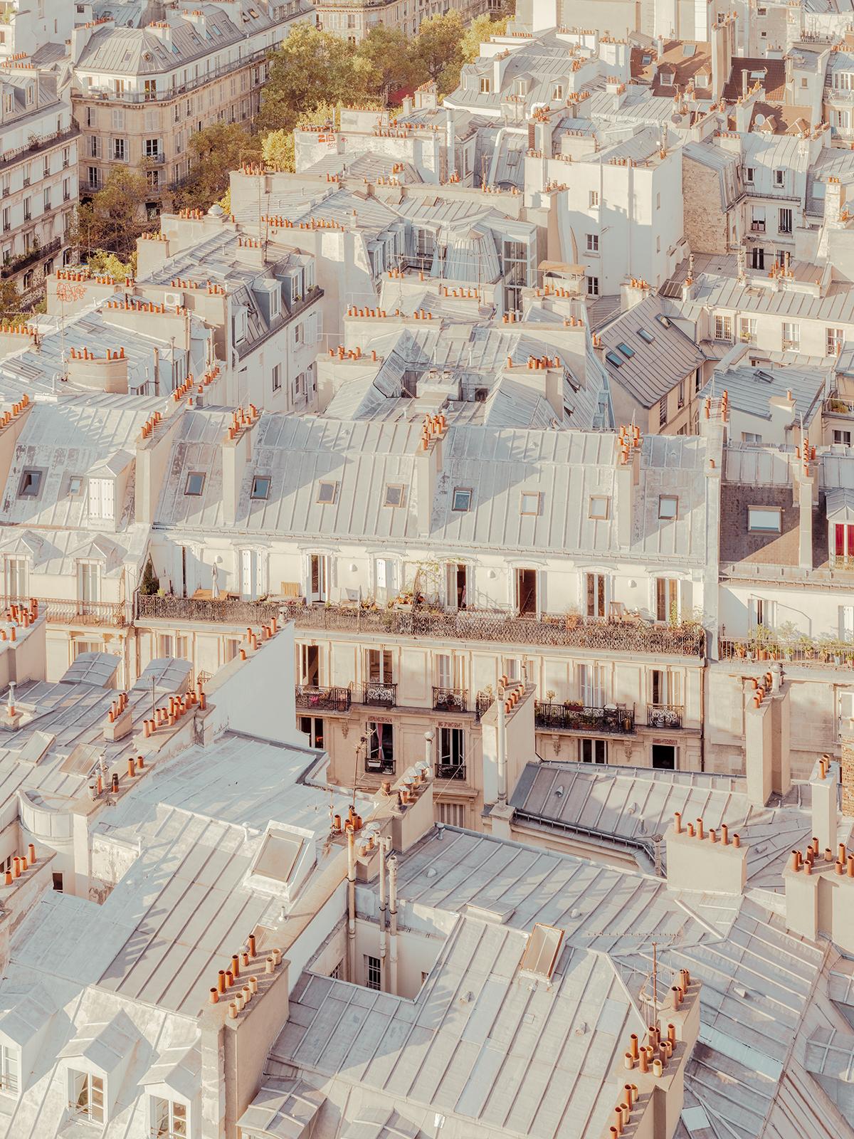 Ludwig Favre Landscape Photograph - Paris Rooftops
