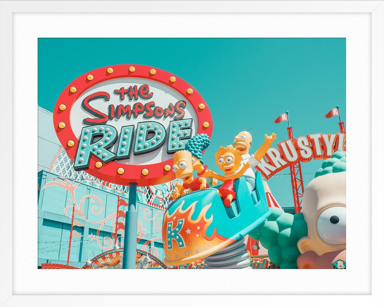 Le bassin des Simpsons - Gris Landscape Photograph par Ludwig Favre