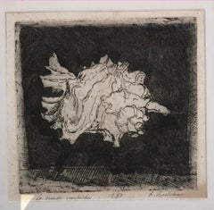 La Grande Conchiglia (The Big Shell) - Etching by Luigi Bartolini - 1936