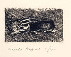 Scarabei Tropicali - Etching by Luigi Bartolini - 1930
