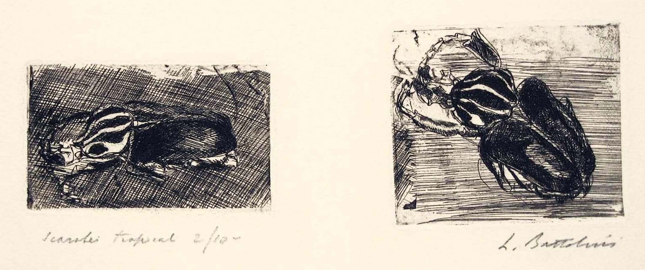 Dimensiones de la imagen:  6.5 x 11 -  8.5 x 10  cm.

Scarabei Tropicali (Escarabajos tropicales) es una obra de arte original realizada por el gran grabador y poeta italiano Luigi Bartolini en 1930.

Rarísimo par de grabados sobre papel de marfil.
