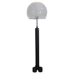 Luigi Caccia Dominioni Italian "Porcino Terra" Floor Lamp for, Azucena, 1960s
