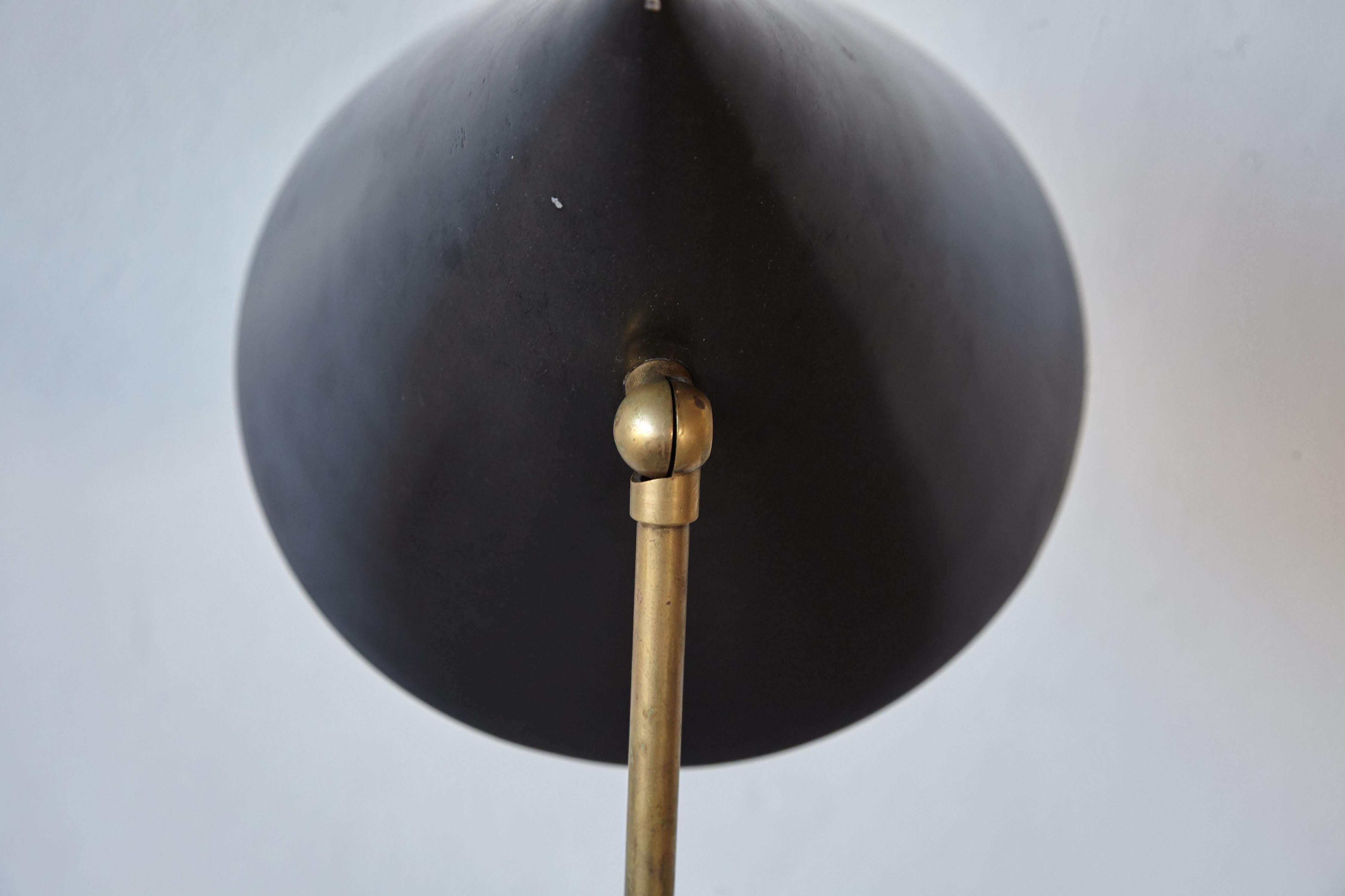 Luigi Caccia Dominioni LTE 5 Floor Lamp, Azucena, Italy, 1950s 1