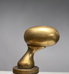 Luigi Caccia Dominioni M3 Solid Brass Door handles, Azucena, Italy set of 30