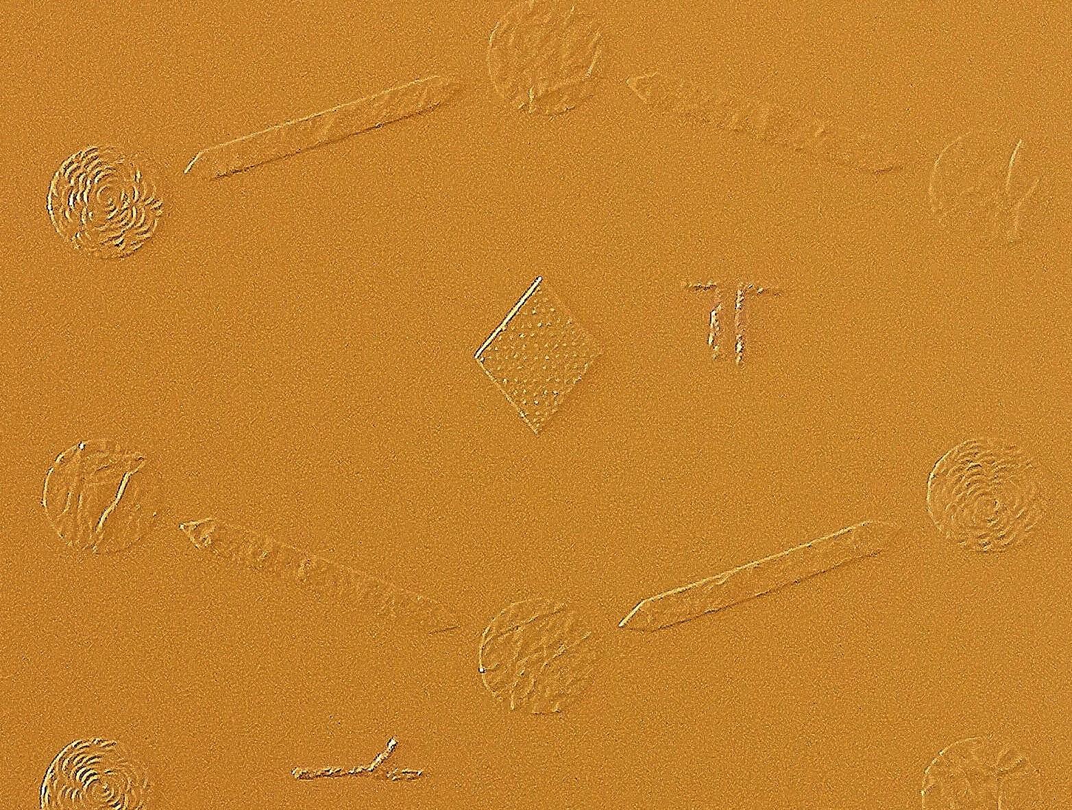 Cette œuvre d'art présente une palette monochromatique saisissante dominée par un fond ocre profond. Des motifs gaufrés complexes se tissent sur la toile, formant un réseau complexe de formes géométriques et de symboles. Le relief subtil de la