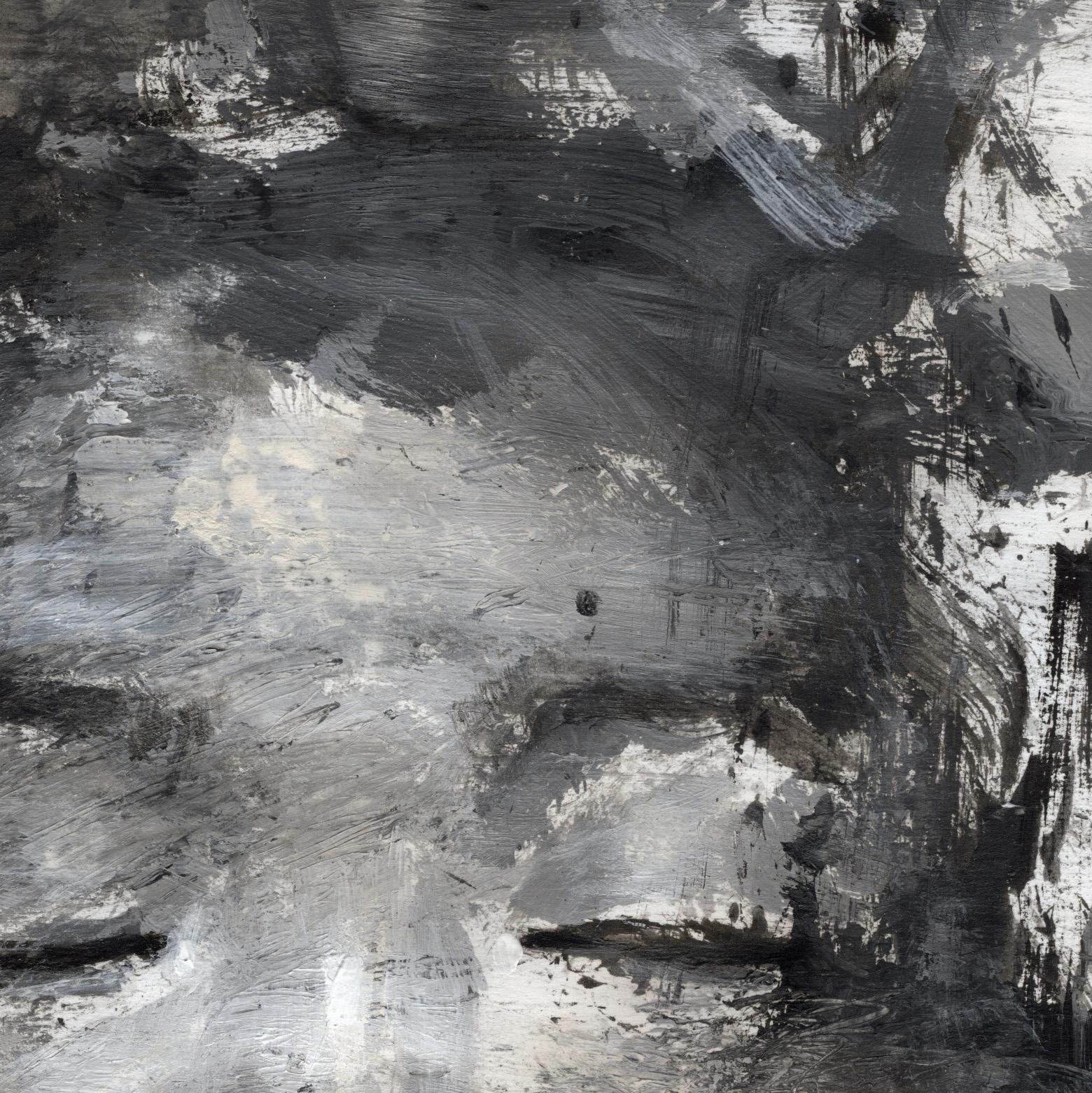 I ritratti di Christophe Veggetti non sono solo opere d'arte, ma rappresentano una testimonianza tangibile del profondo bisogno di inclusione sociale a livello nazionale. In un'Italia in continua trasformazione, dove il tessuto sociale è in costante