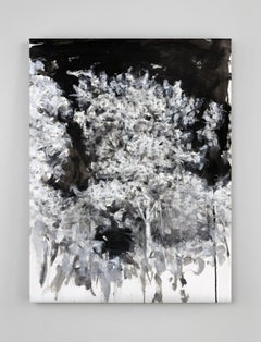 Studio 2. From the Nature Landscapes series