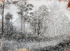 VERSO LA PRIMAVERA. From the Nature Landscapes series