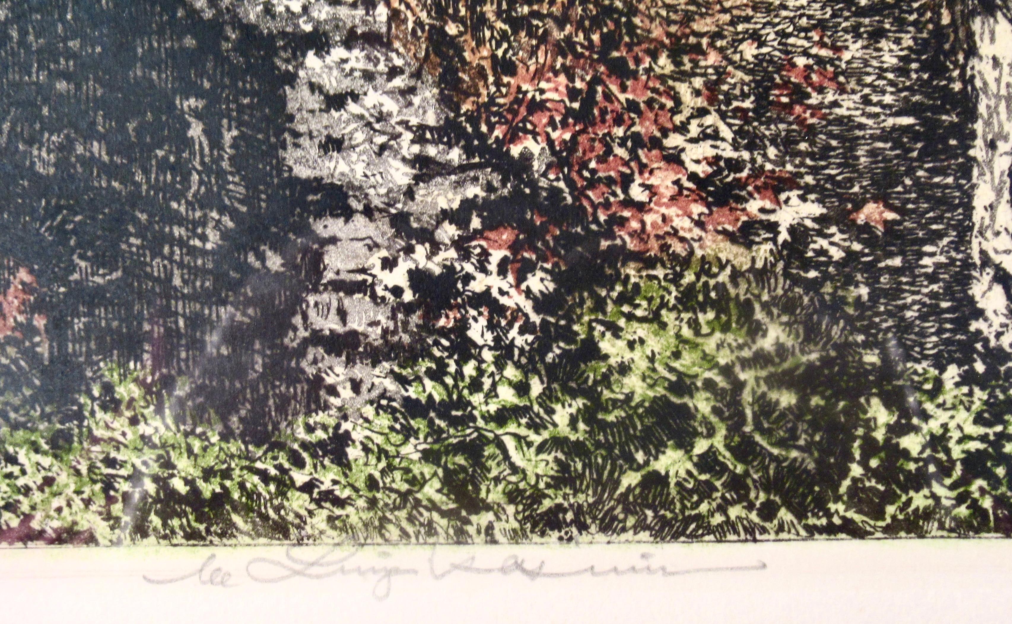 Aggstein Castle on the Danube For Sale 1