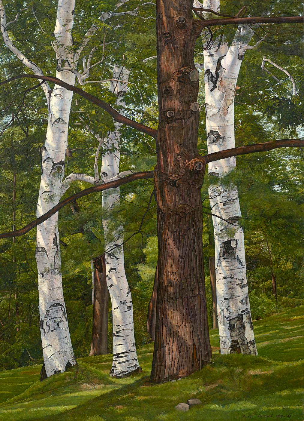 Tree Portraits (No. 2), 1968-69