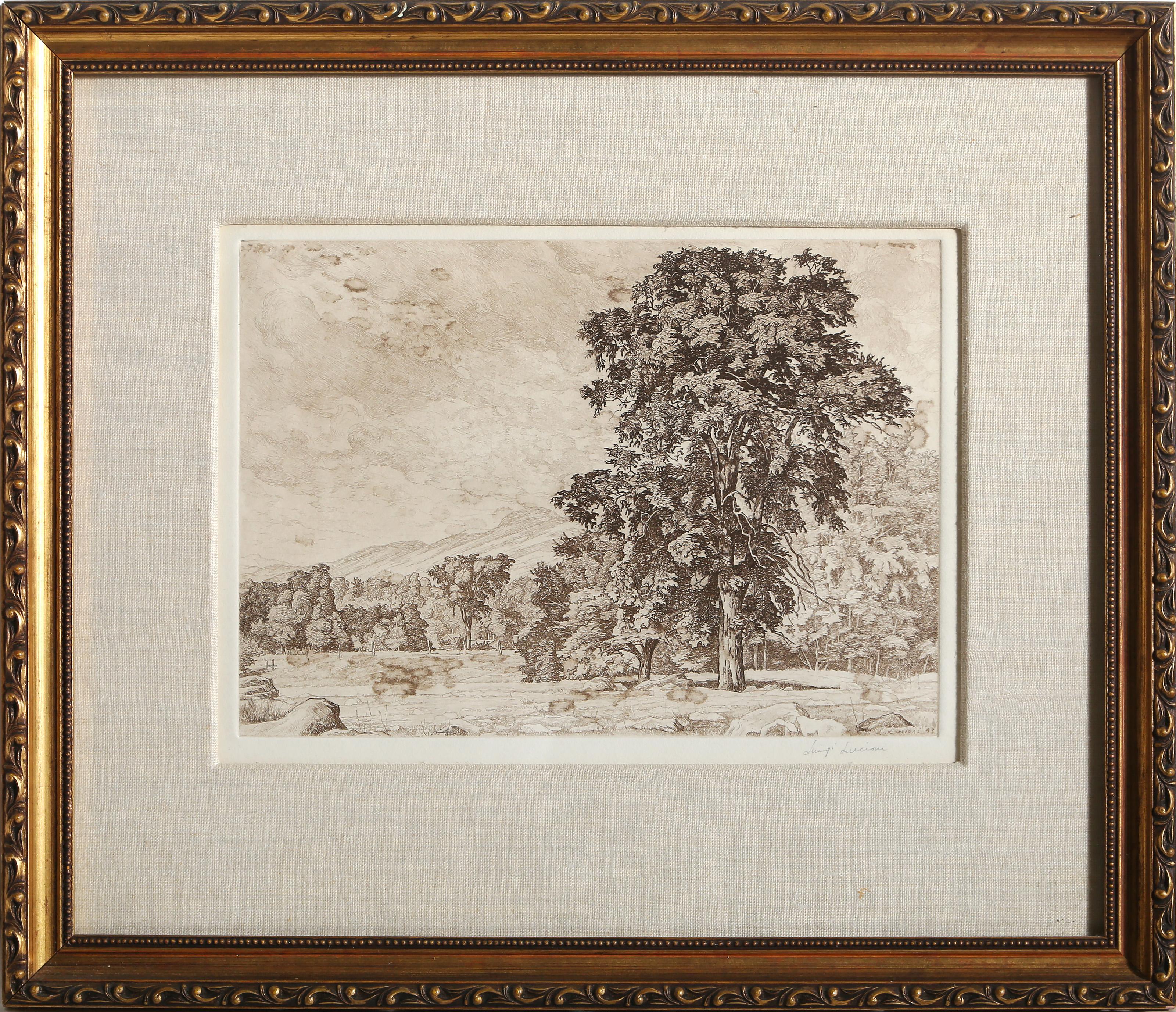 Luigi Lucioni, Américain (1900 - 1988) - Stony Pasture, Année :  1943, Moyen :  Gravure, signée au crayon, Taille de l'image :  7.75 x 11 pouces, Taille du cadre :  15.75 x 18.5 pouces