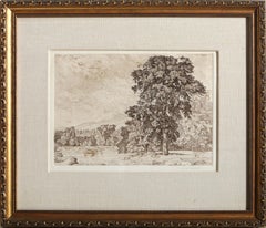 Pâturage pierreux, gravure romantique de Luigi Lucioni