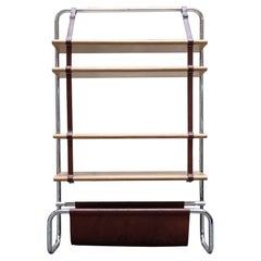 Vintage Luigi Massoni for Poltrona Frau "Jumbo"  Bookcase, Italy 1970s