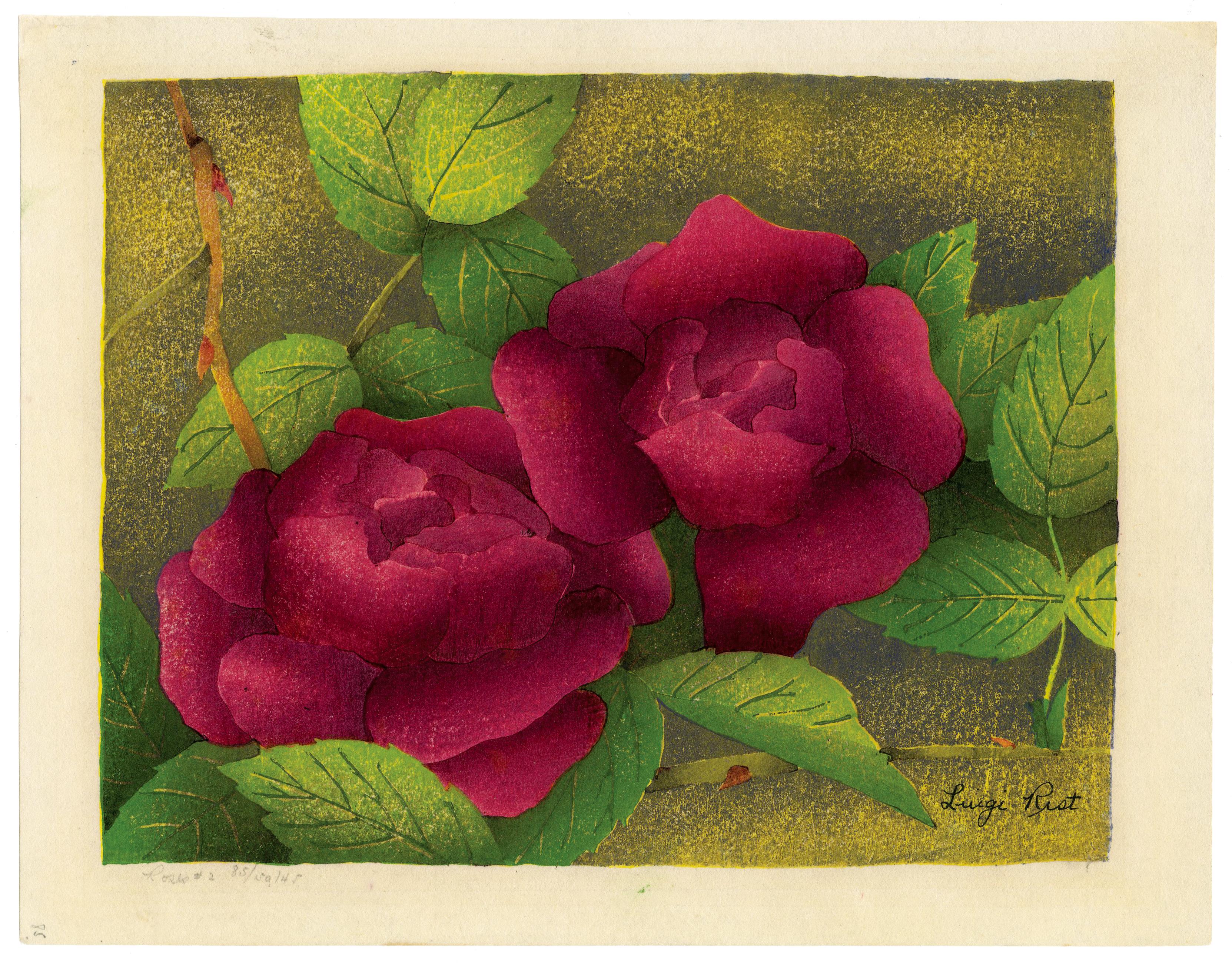 Roses #2 - Print by Luigi Rist