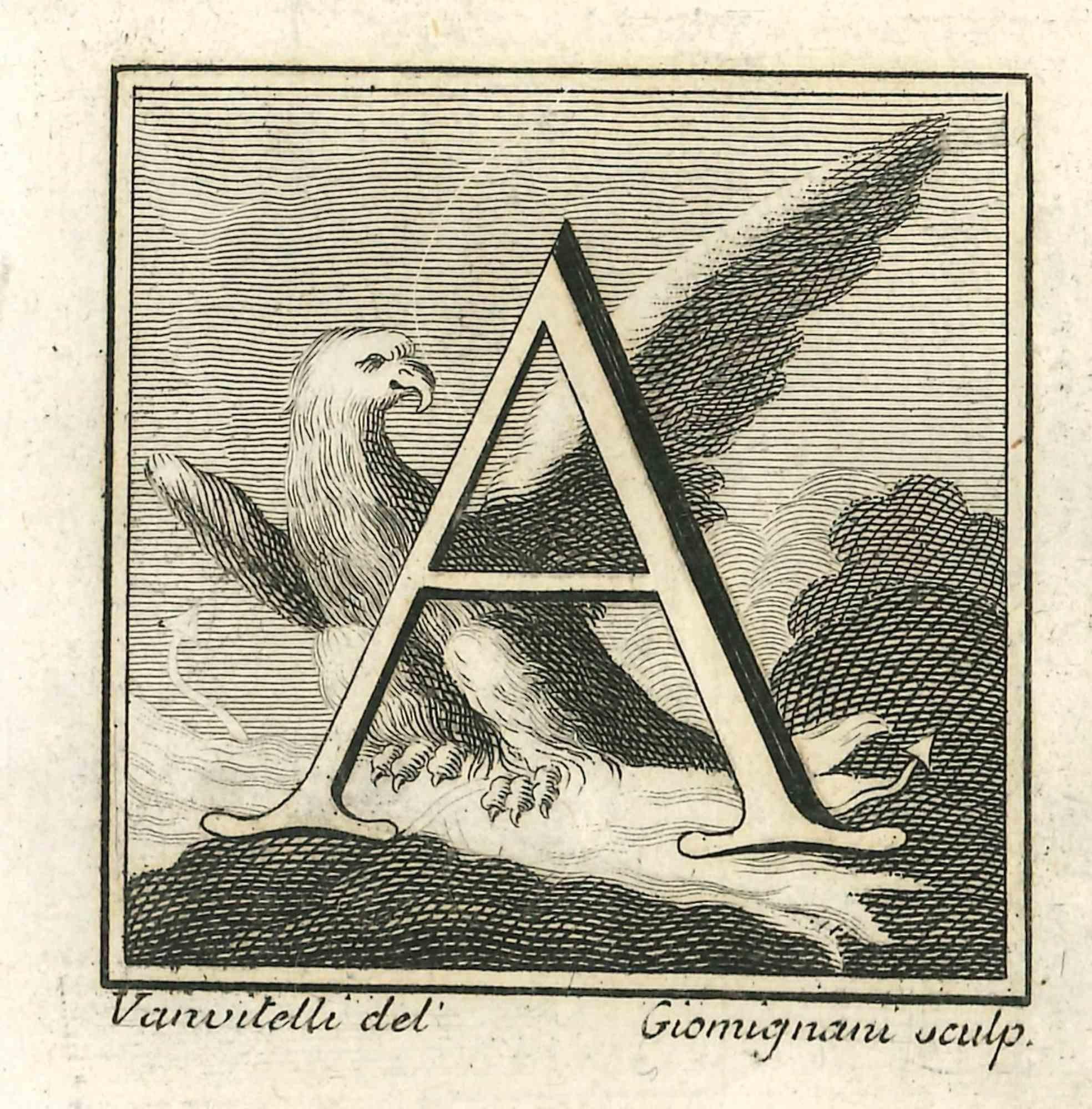 Letter A is an Etching realized by Luigi Vanvitelli in 18th century.

The etching belongs to the print suite “Antiquities of Herculaneum Exposed” (original title: “Le Antichità di Ercolano Esposte”), an eight-volume volume of engravings of the finds