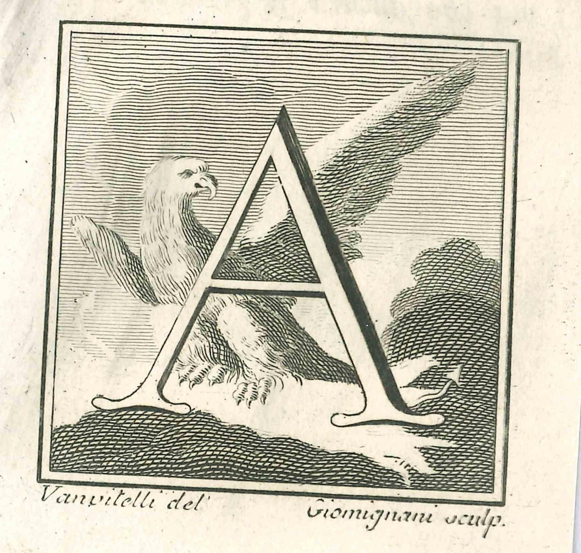 Lettre de l'alphabet A,  de la série "Antiquités d'Herculanum", est une gravure sur papier réalisée par Luigi Vanvitelli au 18ème siècle.

Bonnes conditions.

La gravure appartient à la suite d'estampes "Antiquités d'Herculanum exposées" (titre