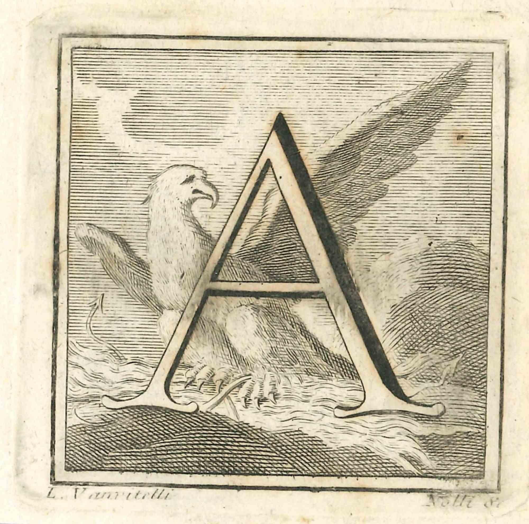 Lettre de l'alphabet A,  de la série "Antiquités d'Herculanum", est une gravure sur papier réalisée par Luigi Vanvitelli au 18ème siècle.

Bonnes conditions.

La gravure appartient à la suite d'estampes "Antiquités d'Herculanum exposées" (titre
