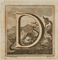 Antique Letter of the Alphabet D - Etching by Luigi Vanvitelli - 18th Century