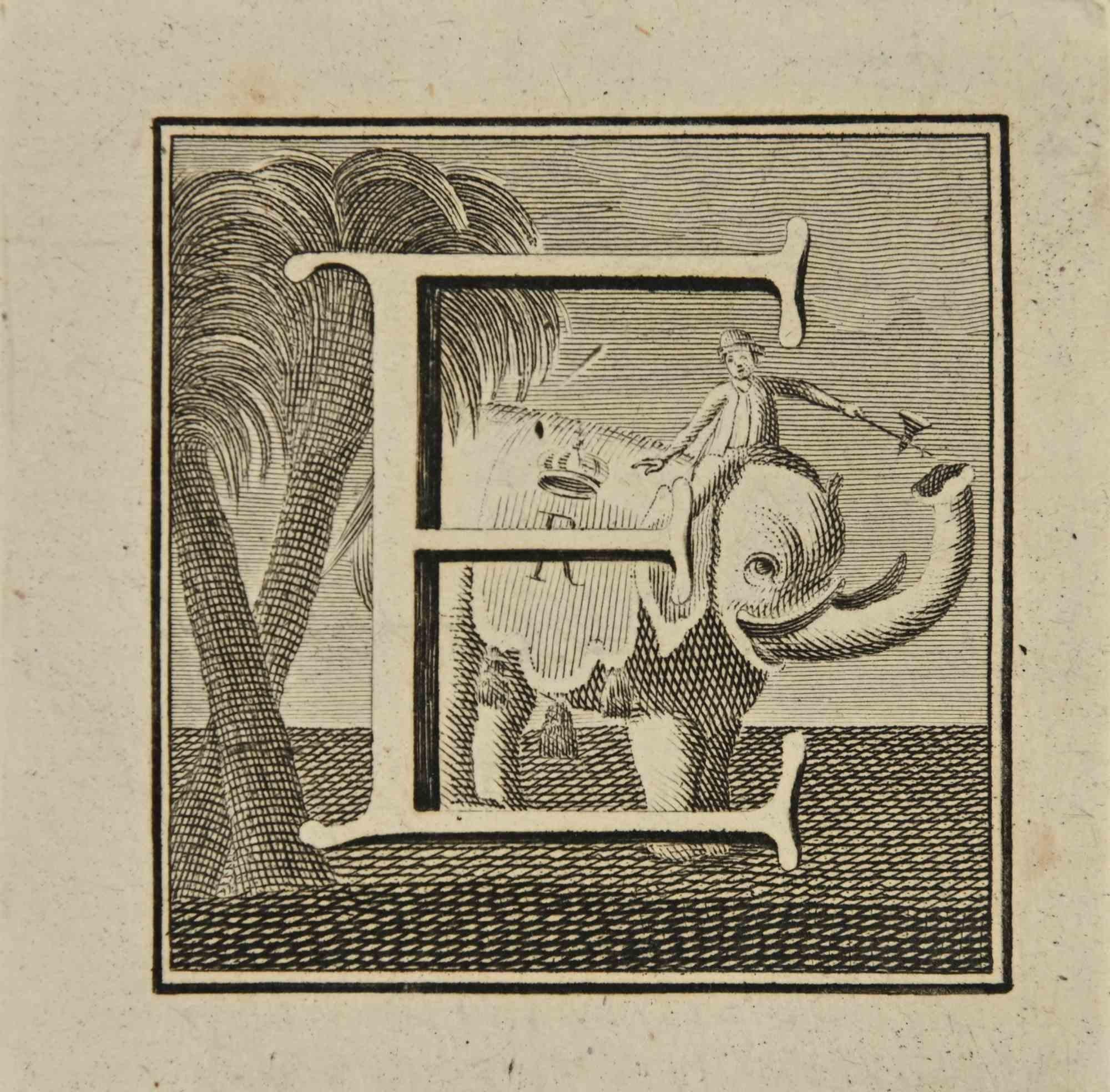 Letter of the Alphabet E,  from the series "Antiquities of Herculaneum", is an etching on paper realized by Luigi Vanvitelli in the 18th century.

Good conditions.

The etching belongs to the print suite “Antiquities of Herculaneum Exposed”