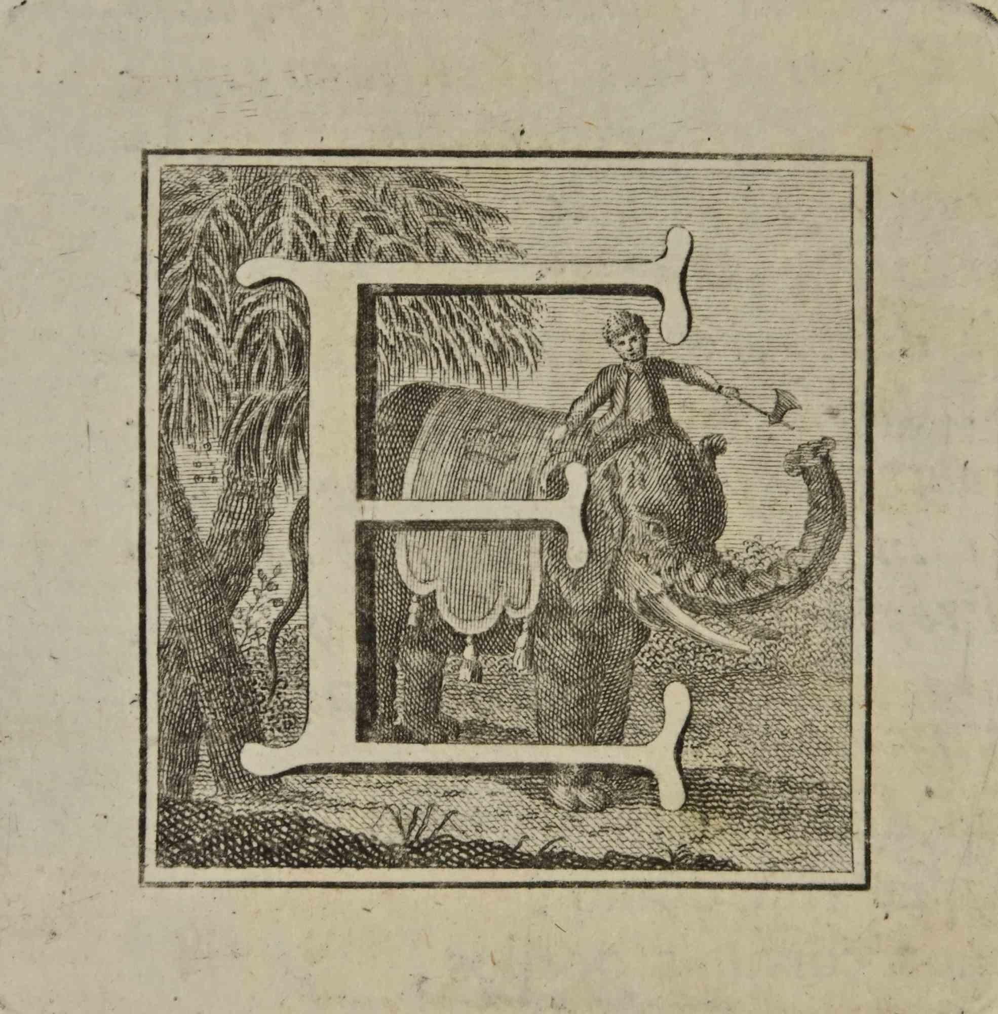 Lettre de l'alphabet E,  de la série "Antiquités d'Herculanum", est une gravure sur papier réalisée par Luigi Vanvitelli au 18ème siècle.

Bonnes conditions.

La gravure appartient à la suite d'estampes "Antiquités d'Herculanum exposées" (titre