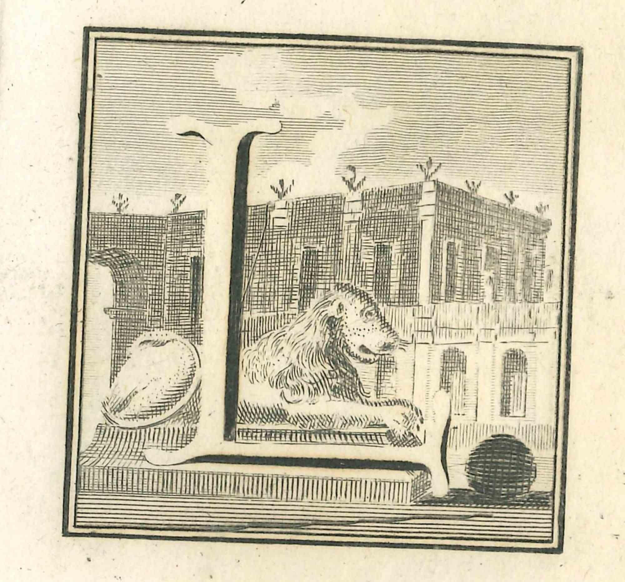 Lettre de l'alphabet L,  de la série "Antiquités d'Herculanum", est une gravure sur papier réalisée par Luigi Vanvitelli au 18ème siècle.

Bonnes conditions.

La gravure appartient à la suite d'estampes "Antiquités d'Herculanum exposées" (titre